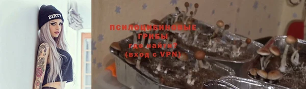 не бодяженный Беломорск