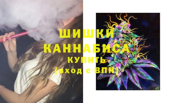 молекула духа Белокуриха