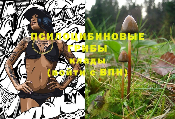 эйфоретик Переславль-Залесский