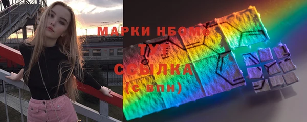 прущие грибы Саяногорск