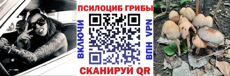 наркошоп  Курлово  Псилоцибиновые грибы MAGIC MUSHROOMS 